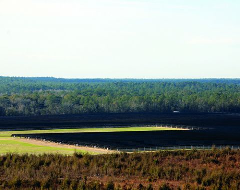 Tallahassee Int’l Adds Second Solar Farm & Creates Sustainability Master Plan