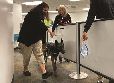 Miami Int’l is First Airport in North America to Dispatch COVID-19 Detection Dogs