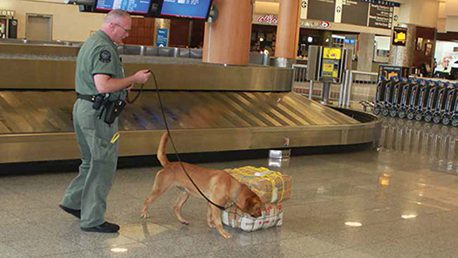 Atlanta Int'l Curbs Crime with Increased Visibility & Multiple Layers of Enforcement