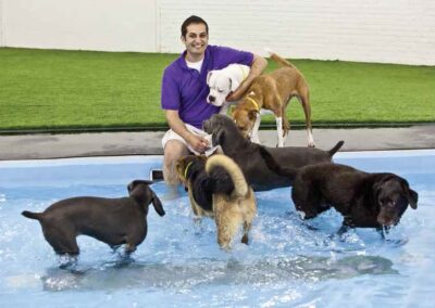 High-End Pet Resort at Denver Int’l Provides Convenience for Travelers, Boosts Non-Airline Revenue