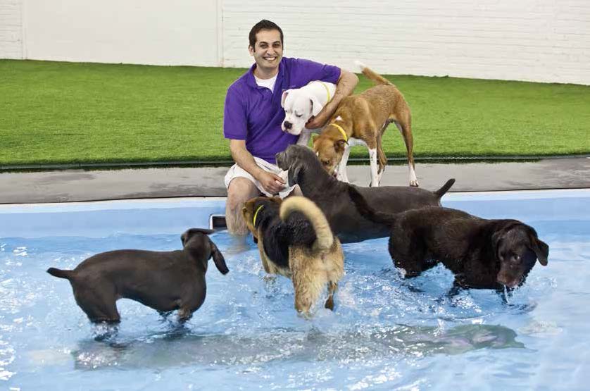 High-End Pet Resort at Denver Int'l Provides Convenience for Travelers