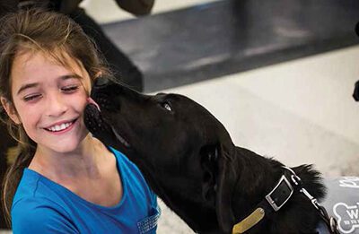 Airports Get Their Wag On With Therapy Animal Programs
