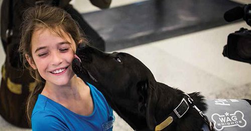 Airports Get Their Wag On With Therapy Animal Programs