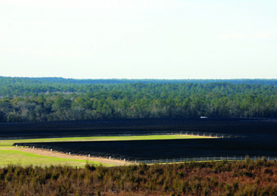 Tallahassee Int’l Adds Second Solar Farm & Creates Sustainability Master Plan