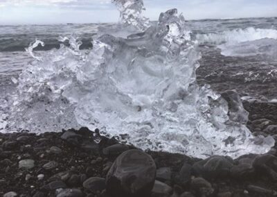 Homegrown Talent – Fort Lauderdale-Hollywood International (FLL)