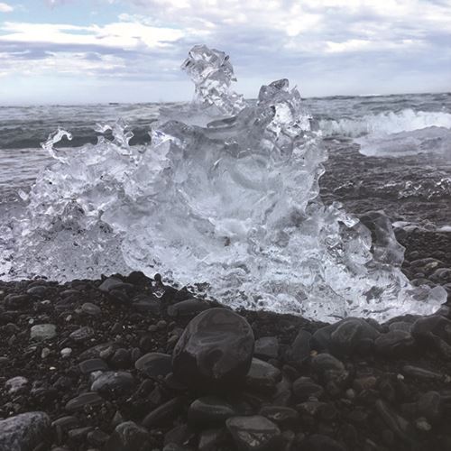 Homegrown Talent - Fort Lauderdale-Hollywood International (FLL)