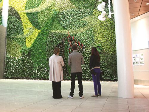 Going Green - Edmonton International Airport (YEG)