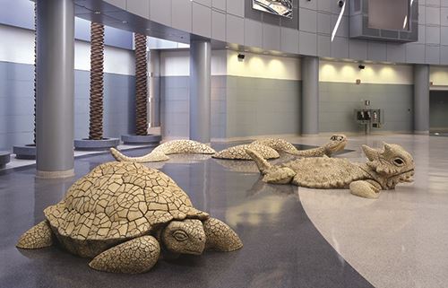 Desert Wildlife on the Move - Harry Reid International Airport (LAS)