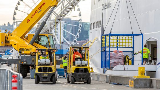 Workforce Development 