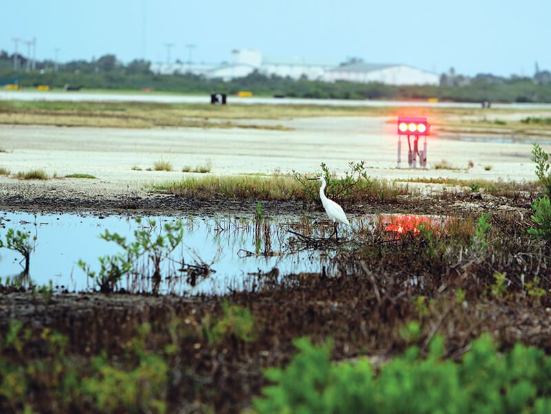 Key West Int’l Takes a Collaborative and Adaptive Approach to Wildlife Management