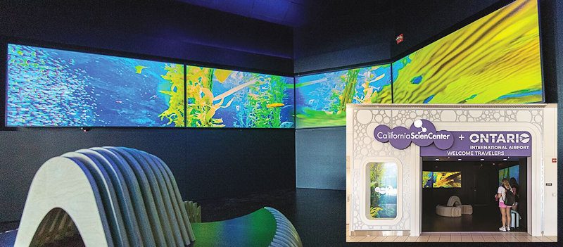 Immersive Museum Exhibit Soothes Visitors at Ontario Int’l