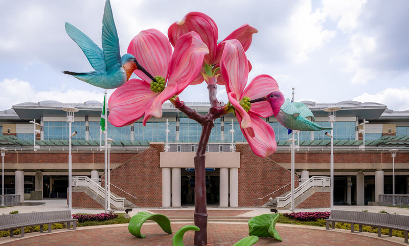 Perpetual Blossoms – Richmond International Airport (RIC) Perpetual Blossoms - Richmond International Airport (RIC)